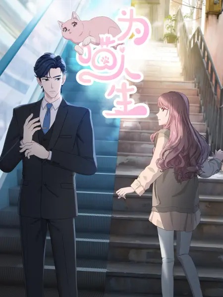 Котяче життя М'яом'яо