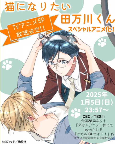 Тамаґава, який хоче стати котом